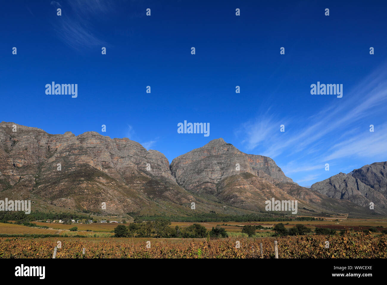 Slanghoek Valley on the Breedekloof Wine Route in the Western Cape Province of South Africa
