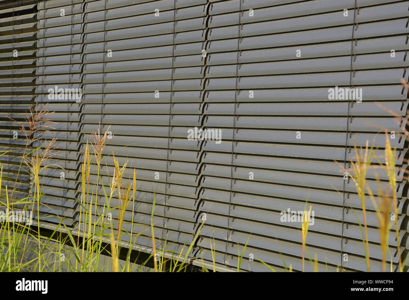 closed metal louver closeup, metal blinds outdoor as sun and sight