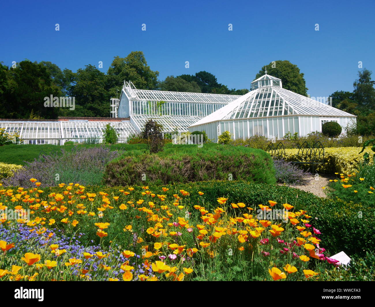 Forest Covering Approximately 1000 Acres In Hampshire Uk There Is High Resolution Stock Photography And Images Alamy