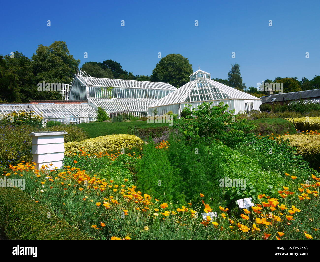 Forest Covering Approximately 1000 Acres In Hampshire Uk There Is High Resolution Stock Photography And Images Alamy