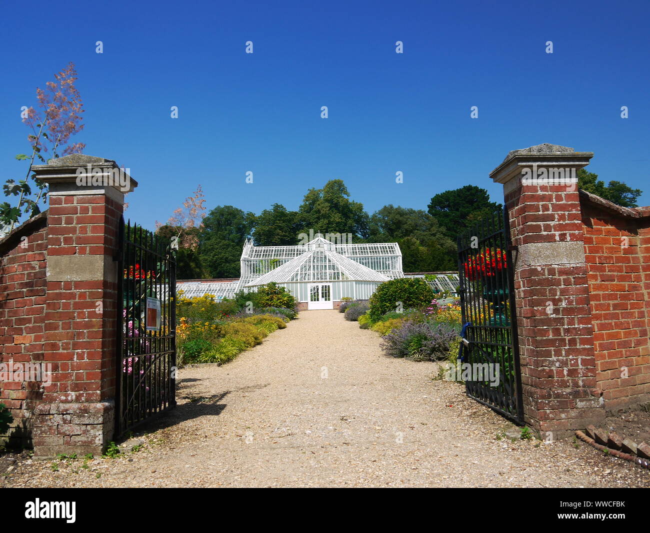 Forest Covering Approximately 1000 Acres In Hampshire Uk There Is High Resolution Stock Photography And Images Alamy