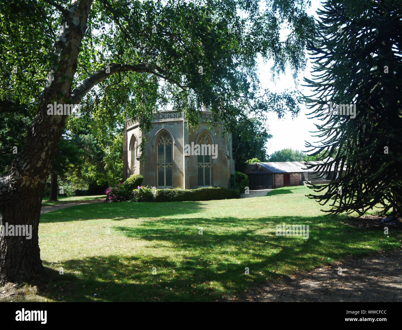Forest Covering Approximately 1000 Acres In Hampshire Uk There Is High Resolution Stock Photography And Images Alamy