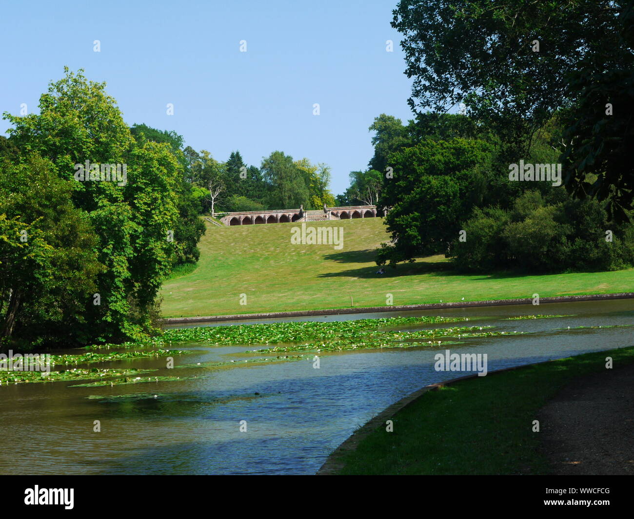 Forest Covering Approximately 1000 Acres In Hampshire Uk There Is High Resolution Stock Photography And Images Alamy