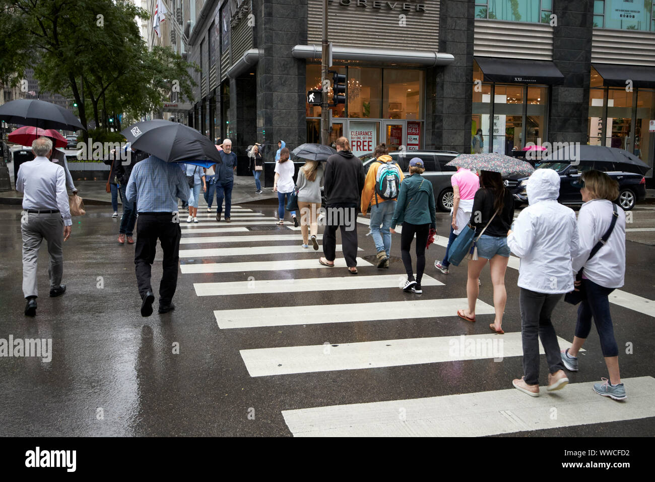 pedestrians with umbrellas crossing crosswalk at north michigan avenue magnificent mile on a wet overcast day in Chicago Illinois USA Stock Photo