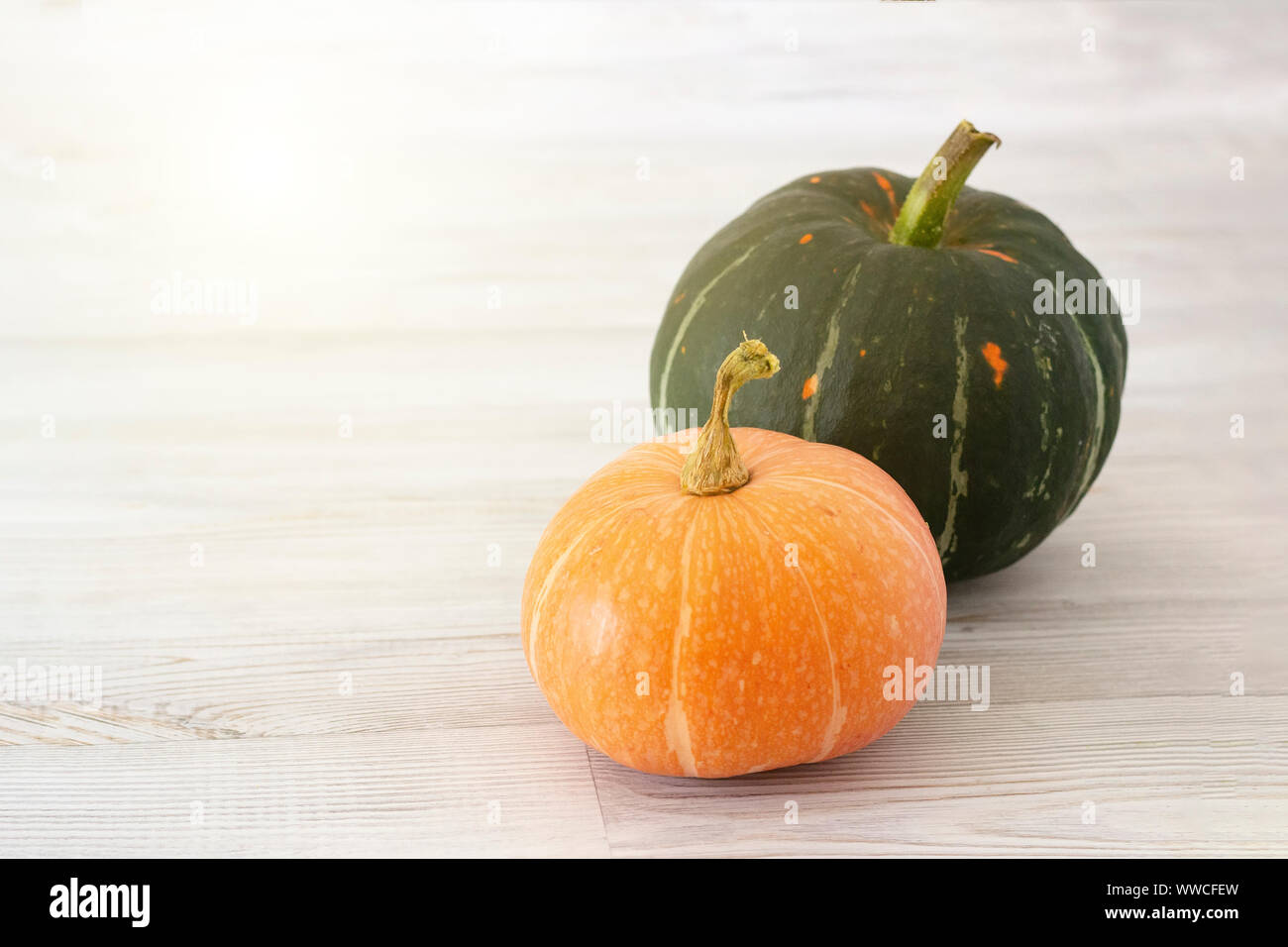 Two ripe pumpkins on a light background. Autumn harvest. Halloween. Stock Photo