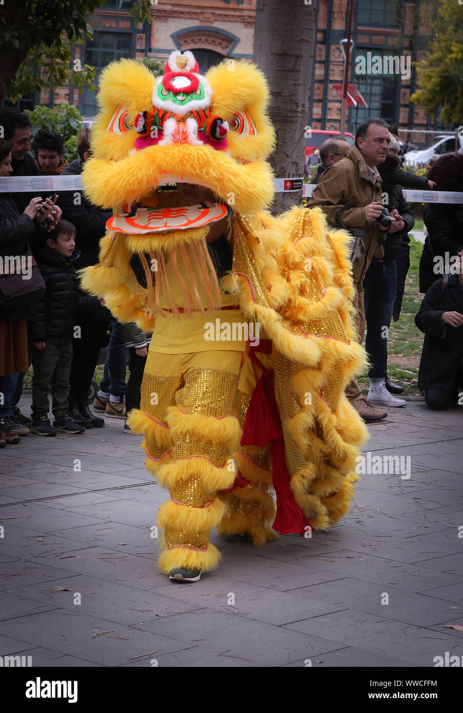 chinese new year costume dragon
