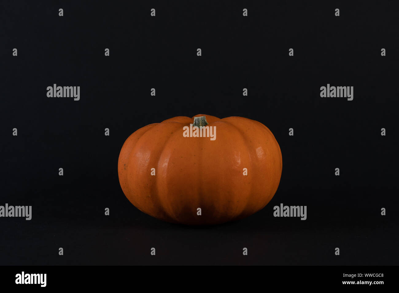 Isolated small orange pumpkin with black background, studioshot, closeup, front view. Halloween time. Stock Photo