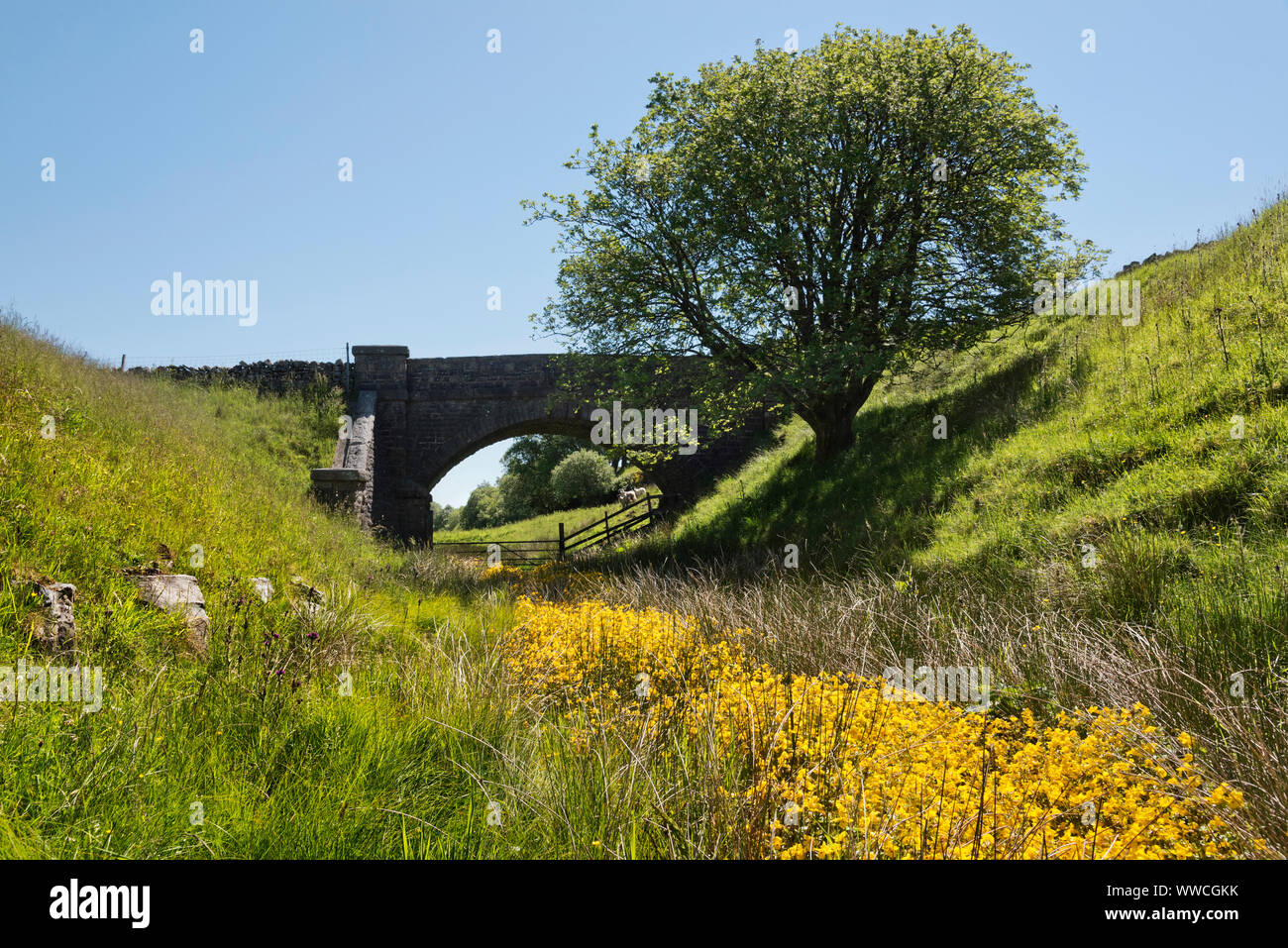 The track-bed of the disused Wensleydale railway line near Garsdale, Yorkshire Dales National Park, UK. Stock Photo