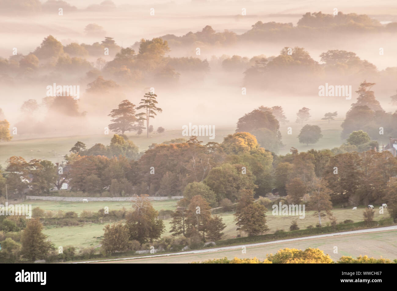 Firle, Lewes, East Sussex, UK. 15th September 2019. Mist slow to clear in the gentle North Easterly breeze as the Sun rises casting its Orange glow. Ethereal scenes in the glorious Sussex countryside. . Stock Photo