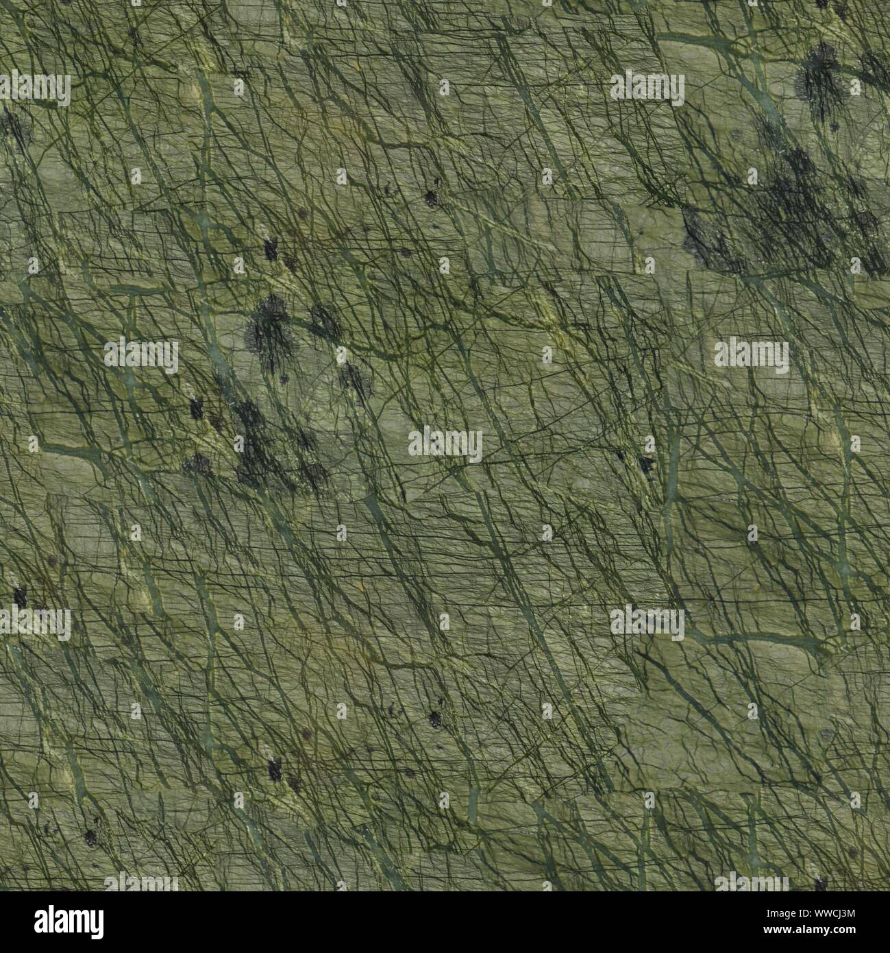 Dark green background marble wall. Seamless square texture, tile ready. Stock Photo