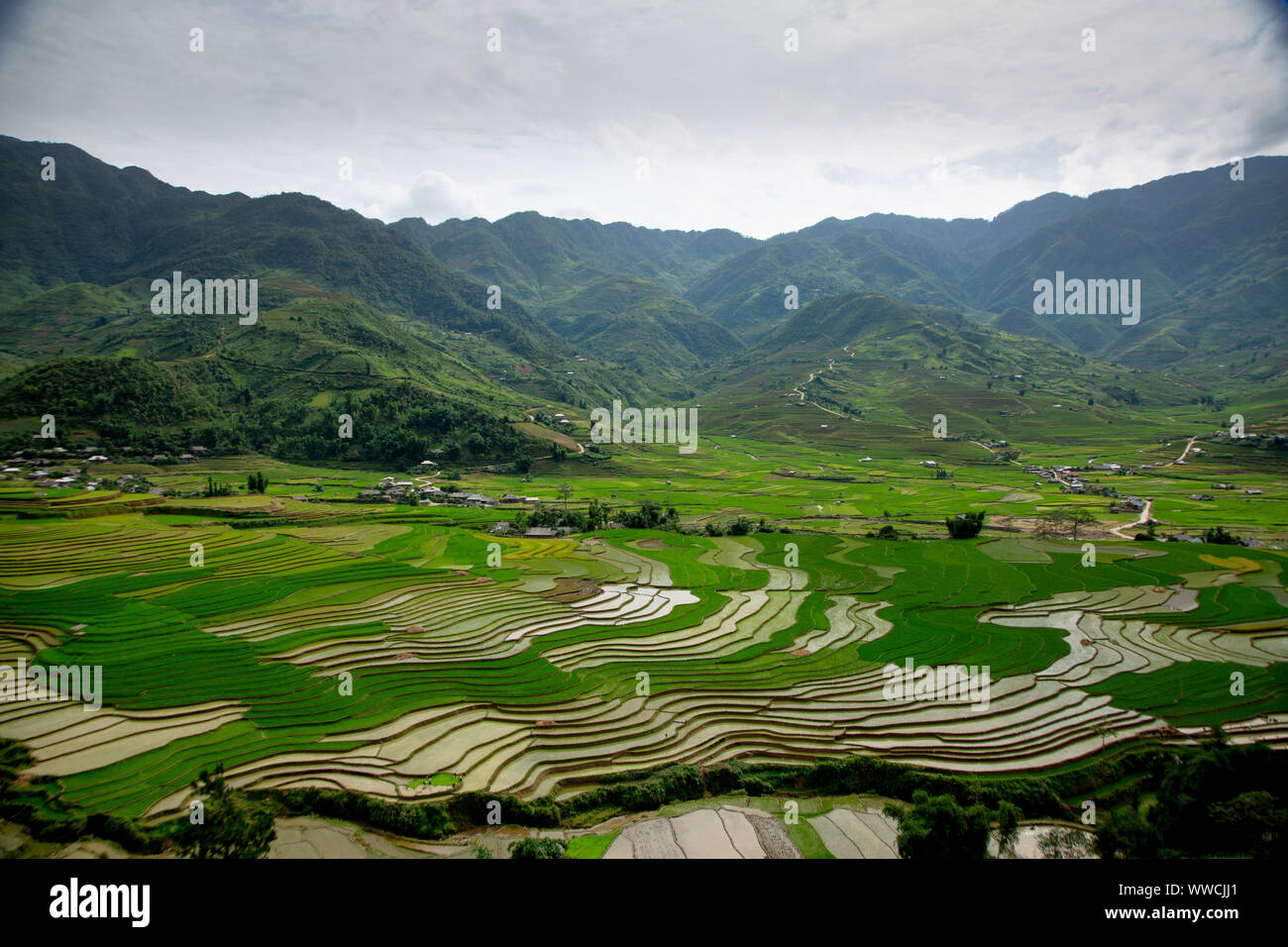 Rice terraces Vietnam Khau Pha Pass Stock Photo