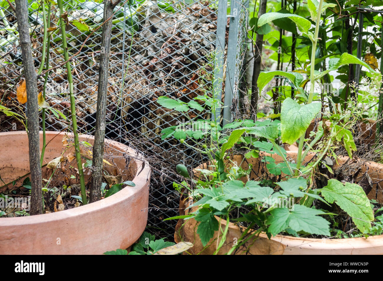 Pots garden wire hi-res stock photography and images - Alamy