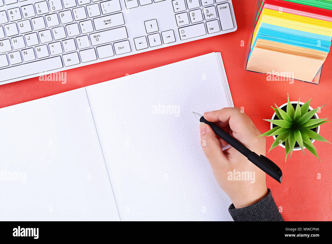 Blank notebook on the coral background, plant, keyboard. Top view, flat lay. Mockup, copy space. Stock Photo