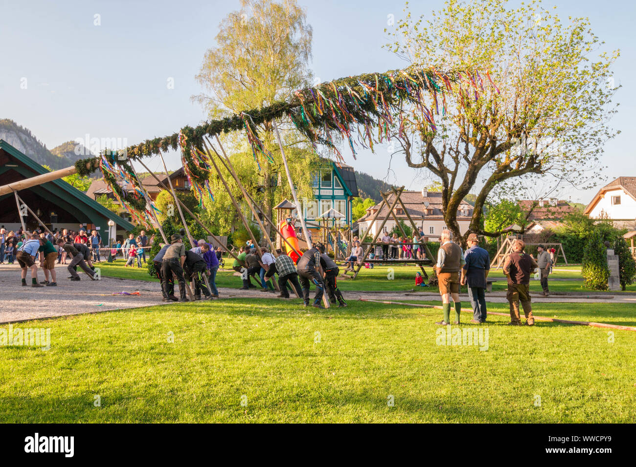 St.Gilgen, Austria - April 30, 2018: Traditional decorated maypole is being erected during folk festival in austrian  alpine village. Stock Photo