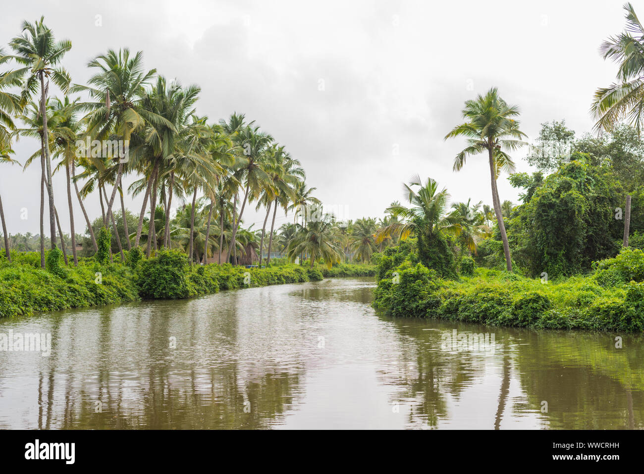 Manmade fish and prawn farming farms located in Goa which rear and