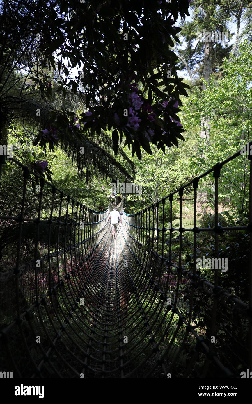 Burmese Rope bridge at the Lost gardens of Heligan, Cornwall , England