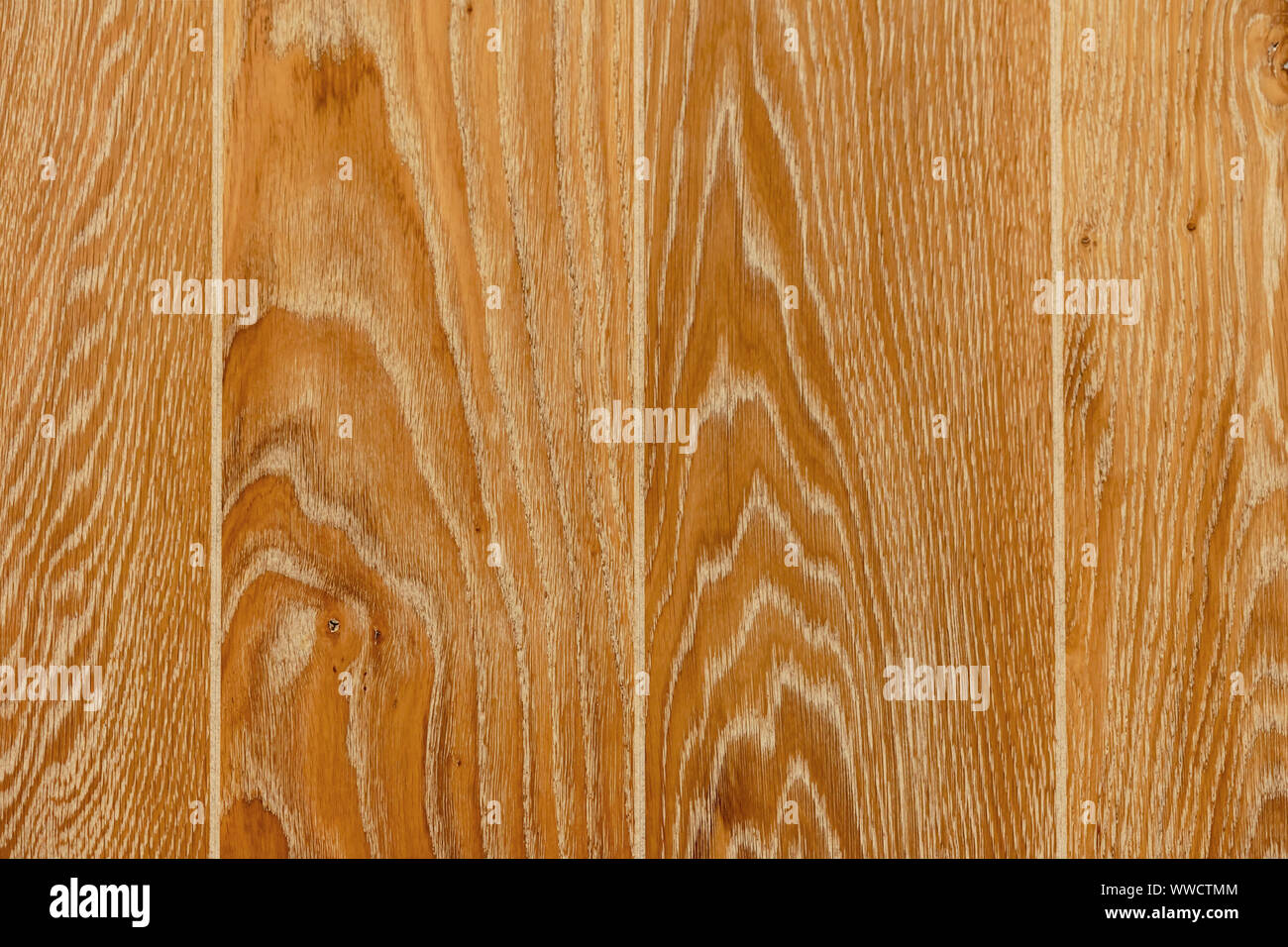 Brown wood texture. Abstract background, empty template. Stock Photo