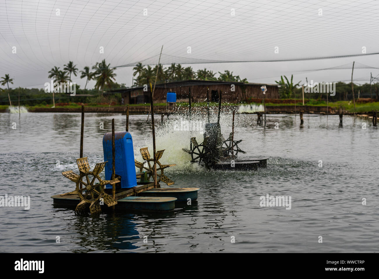 Manmade fish and prawn farming farms located in Goa which rear and