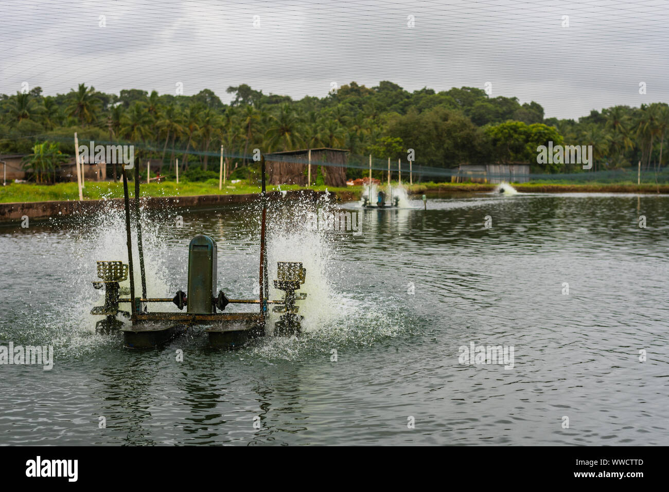 Manmade fish and prawn farming farms located in Goa which rear and