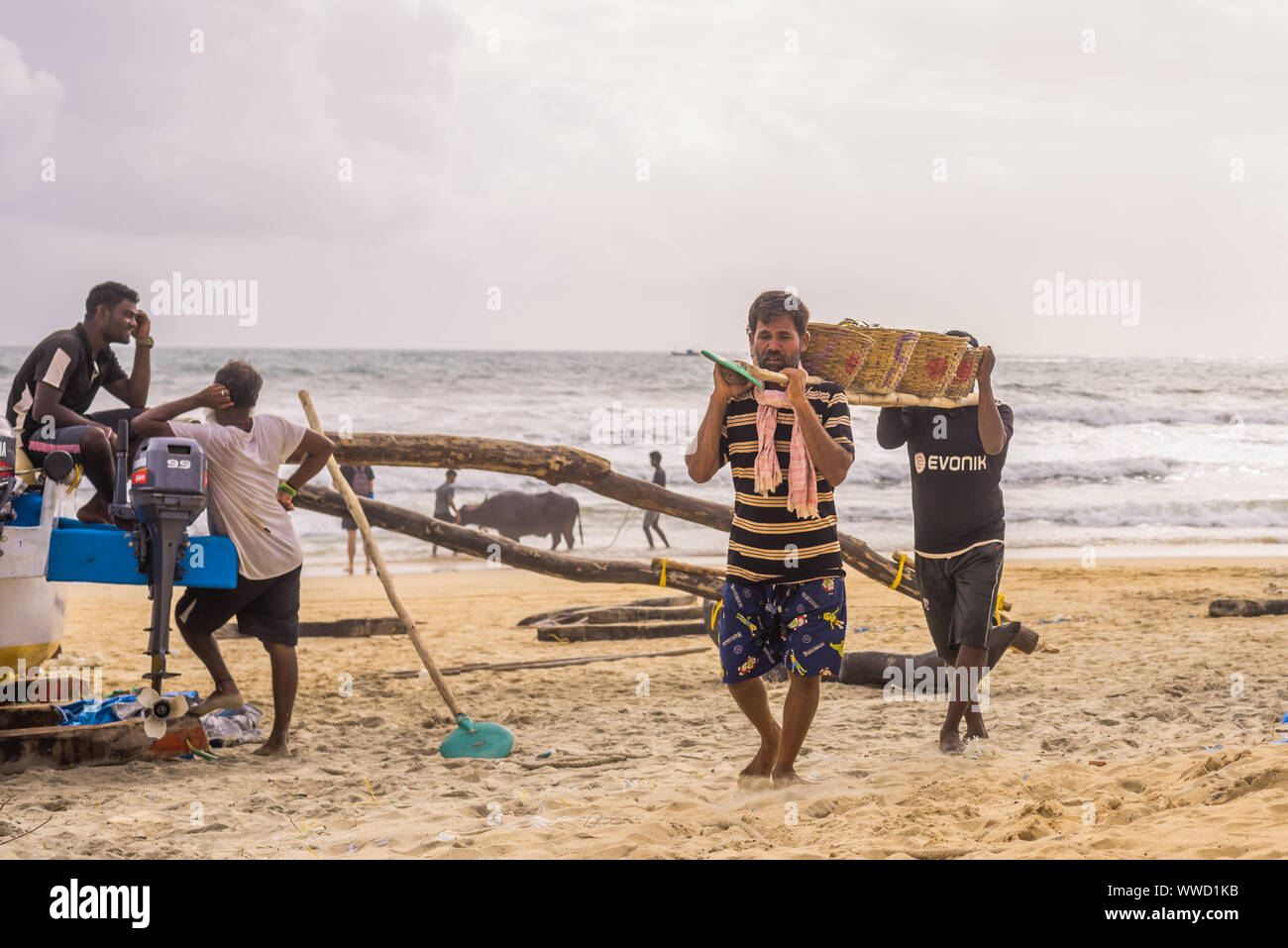 Benaulim,Goa/India- Aug 2 2019: Local Fishermen sorting and selling the catch of the day Stock Photo