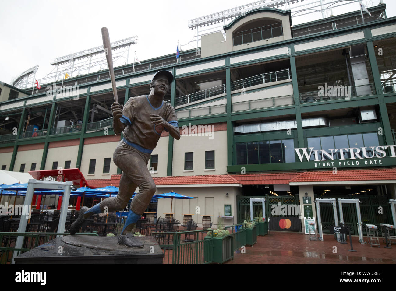 billy williams statue outside wrigley field Chicago Illinois USA Stock Photo Alamy