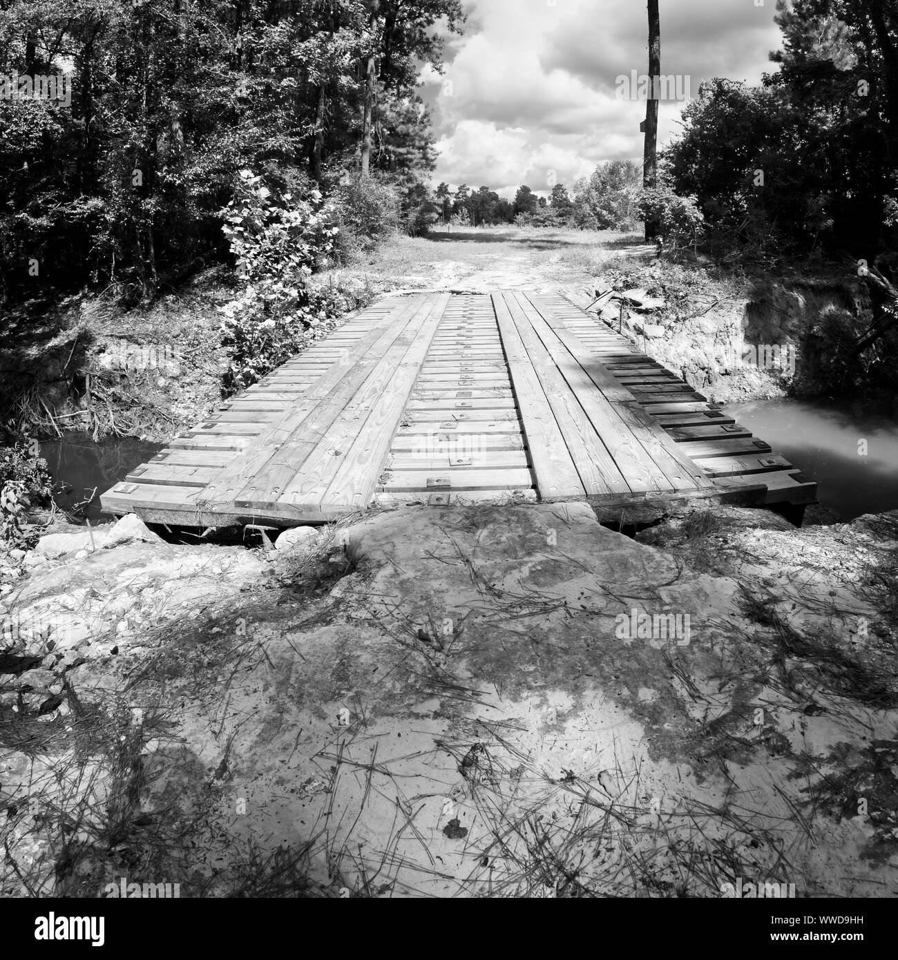 The Woodlands, TX USA - 08/23/2019  -  Wooden Bridge Over Creek in the Woods 3 in B&W Stock Photo
