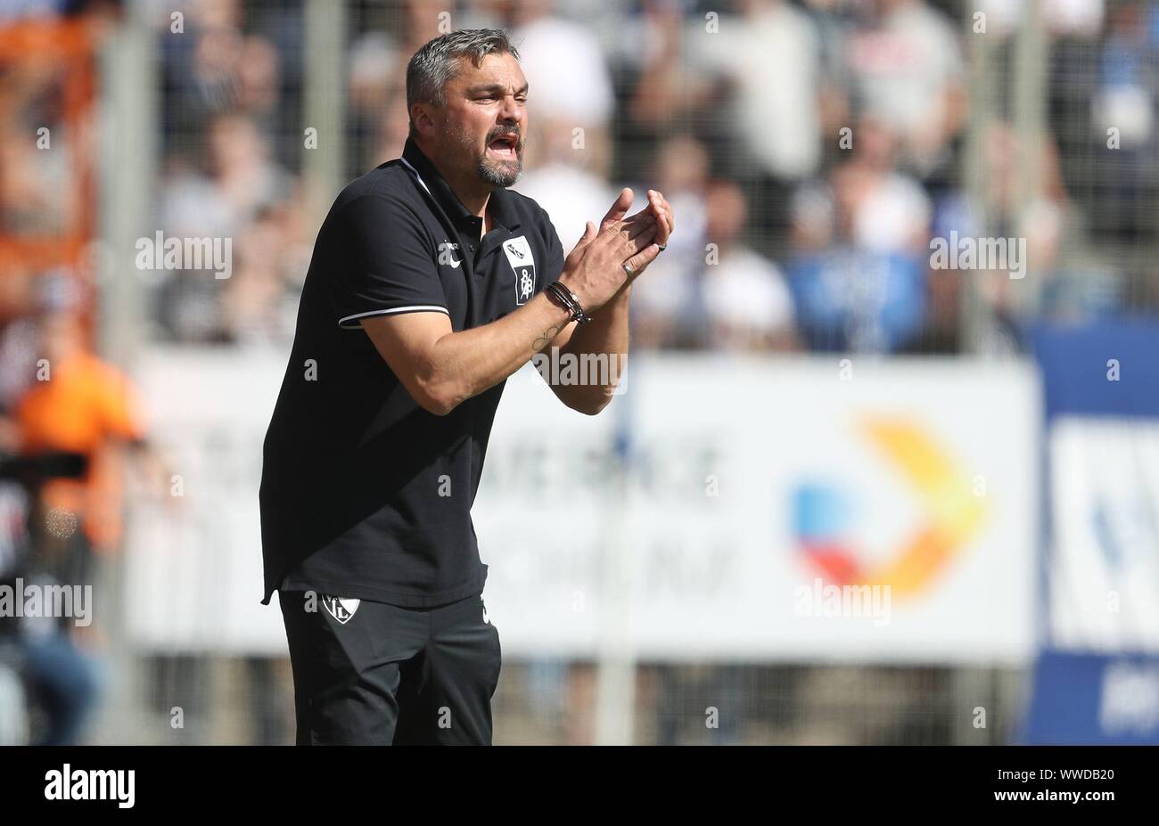 Bochum, Germany. 15th Sep, 2019. firo: 15.09.2019 Football, 2019/2020 2.Bundesliga: VfL Bochum - Dynamo Dresden gesture, Thomas Reis | usage worldwide Credit: dpa/Alamy Live News Stock Photo