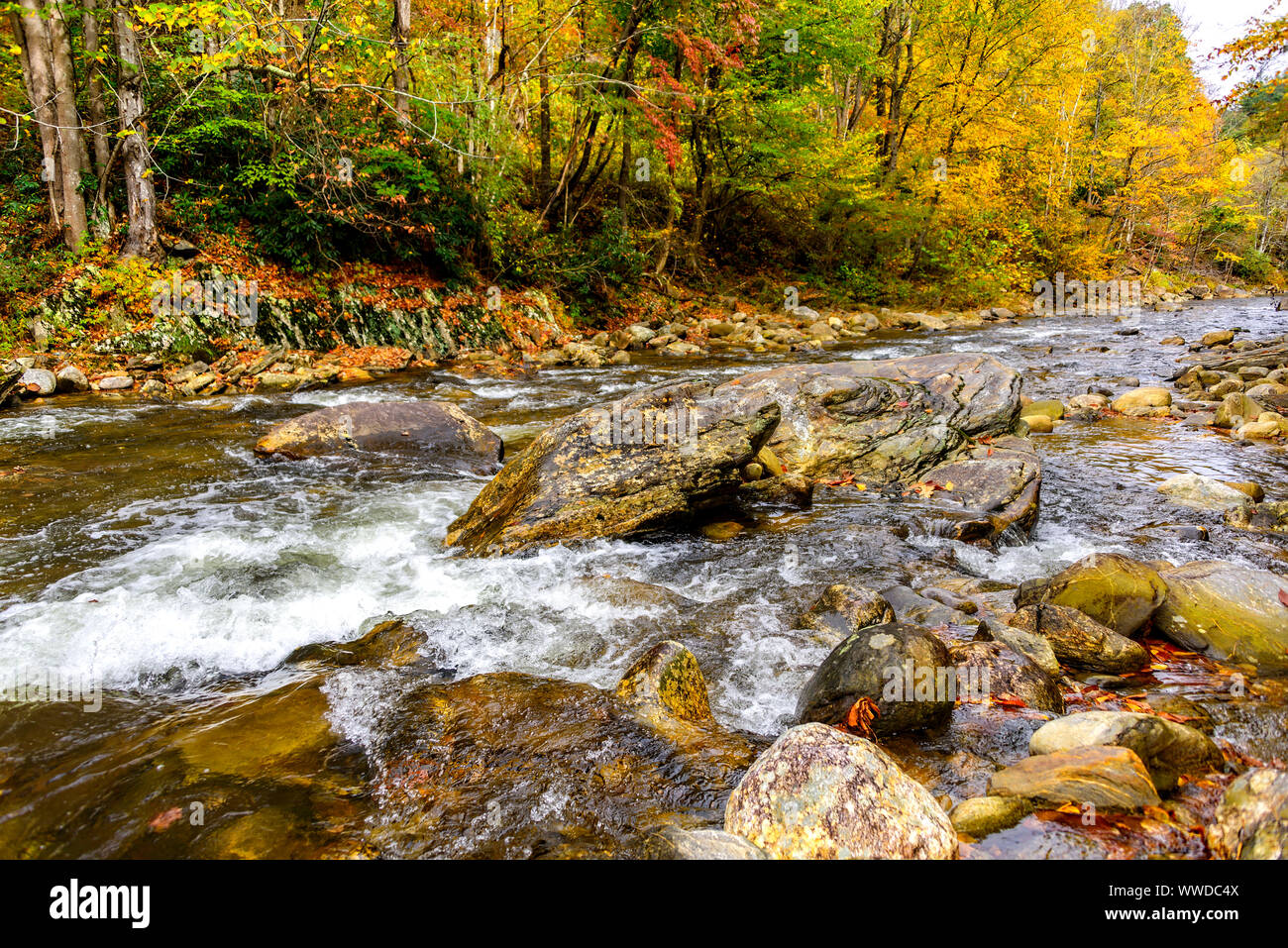 Autumn colors and a flowing stream in the mountains of North Carolina Stock Photo