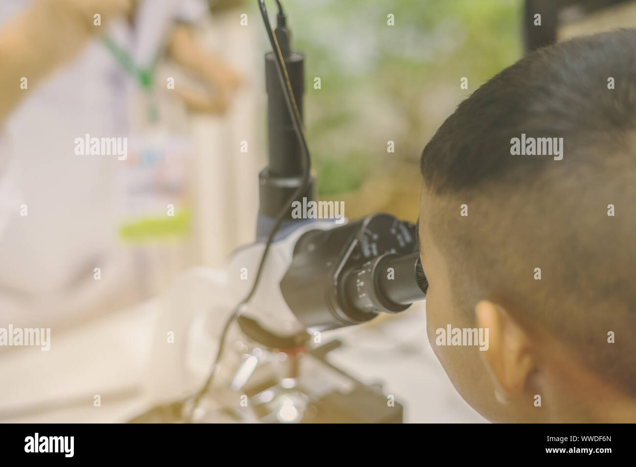 Student learn to use microscope in the science lap at school. Learning ...