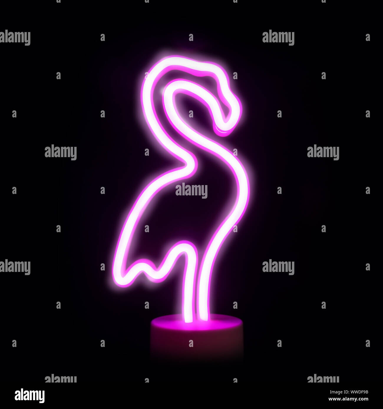 Neon pink flamingo LED lamp isolated on black background. Children's modern night light. Square image. Stock Photo