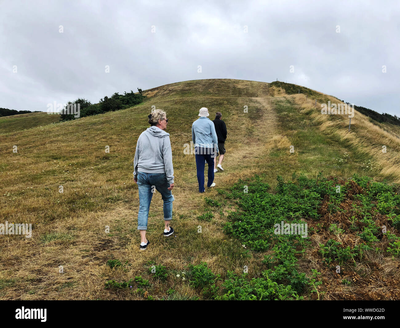 Three people walking in rural landscape, Issehoved, Samsoe, Denmark Stock  Photo - Alamy