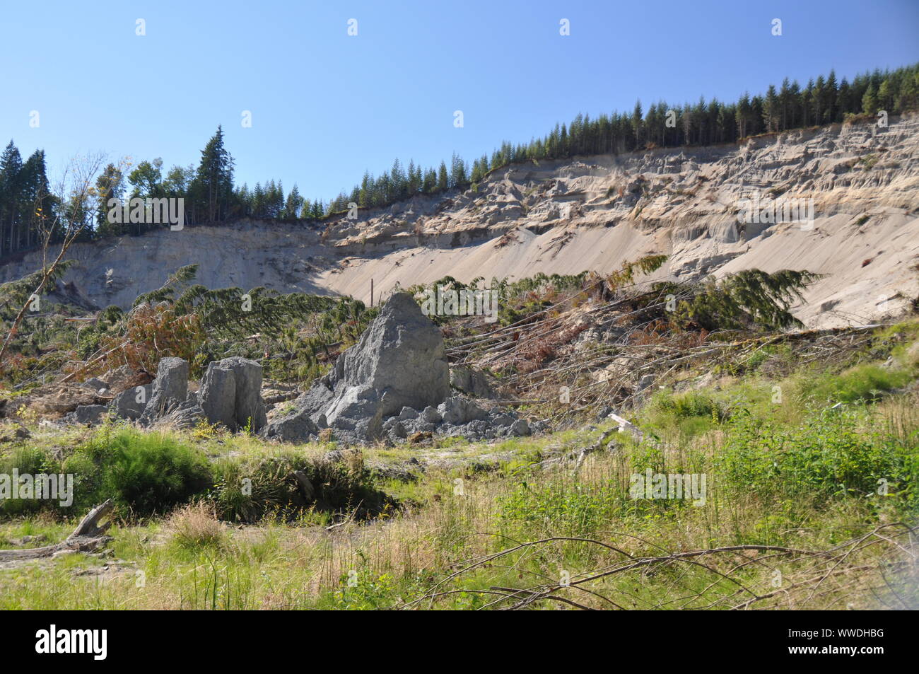 The upper portion of the deadly 2014 Oso Landslide, Oso Landslide, North Fork Stillaguamish River Valley, Snohomish County, Washington, USA Stock Photo