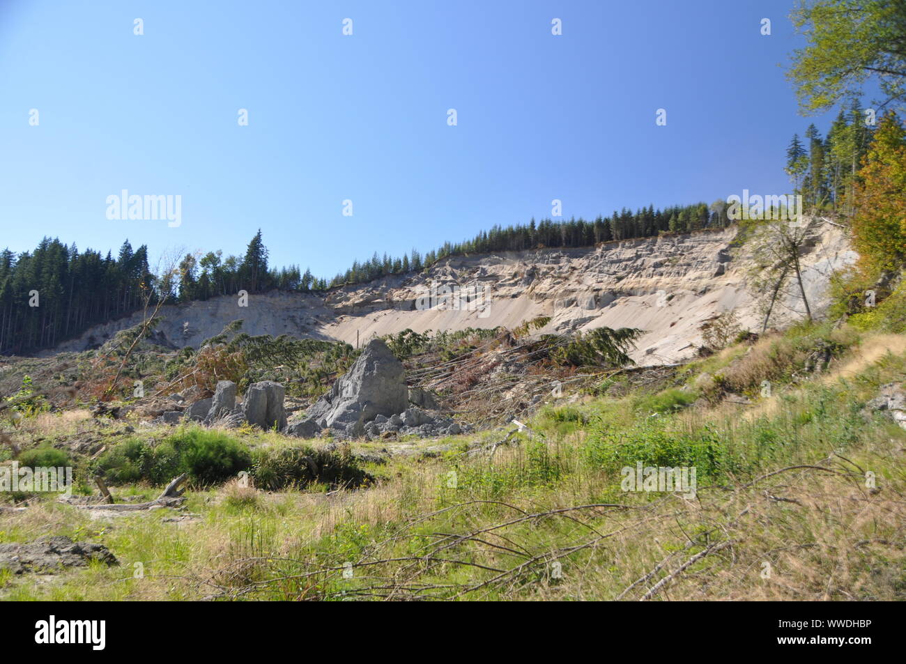 The upper portion of the deadly 2014 Oso Landslide, Oso Landslide, North Fork Stillaguamish River Valley, Snohomish County, Washington, USA Stock Photo