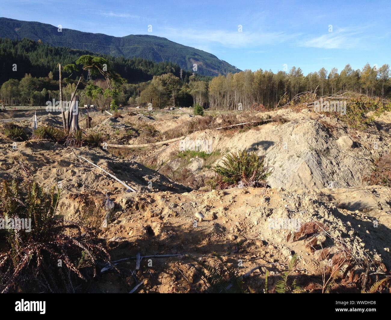 2014 Oso Landslide deposit, North Fork Stillaguamish River Valley, Snohomish County, Washington, USA Stock Photo