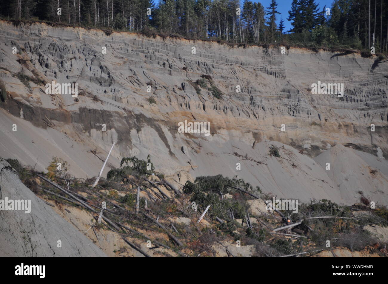 Head Scarp of the deadly 2014 Oso Landslide, North Fork Stillaguamish River Valley, Snohomish County, Washington, USA Stock Photo