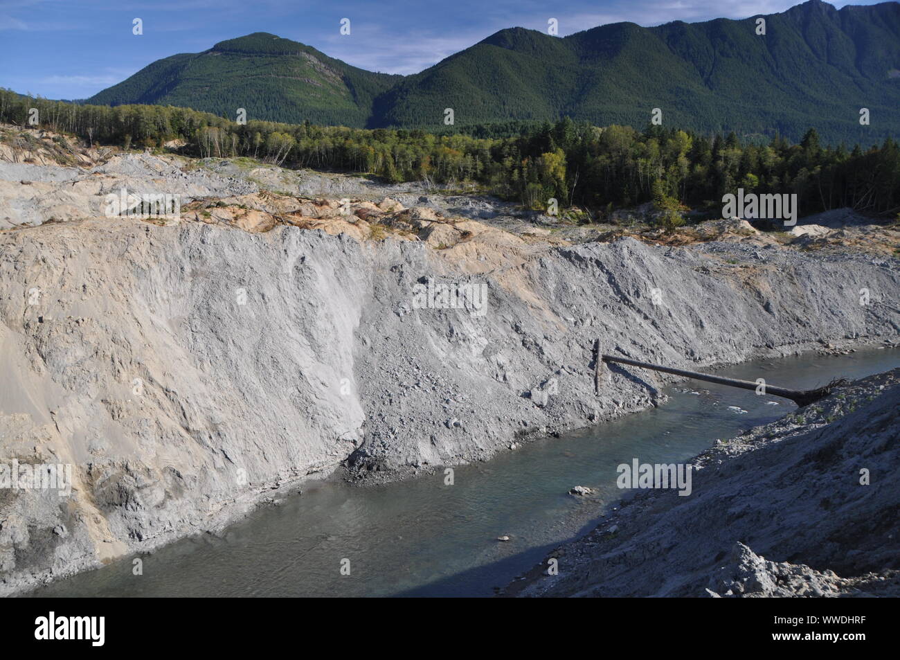 North Fork Stillaguamish River where it has cut through the 2014 Oso landslide deposit, Snohomish County, Washington, USA Stock Photo
