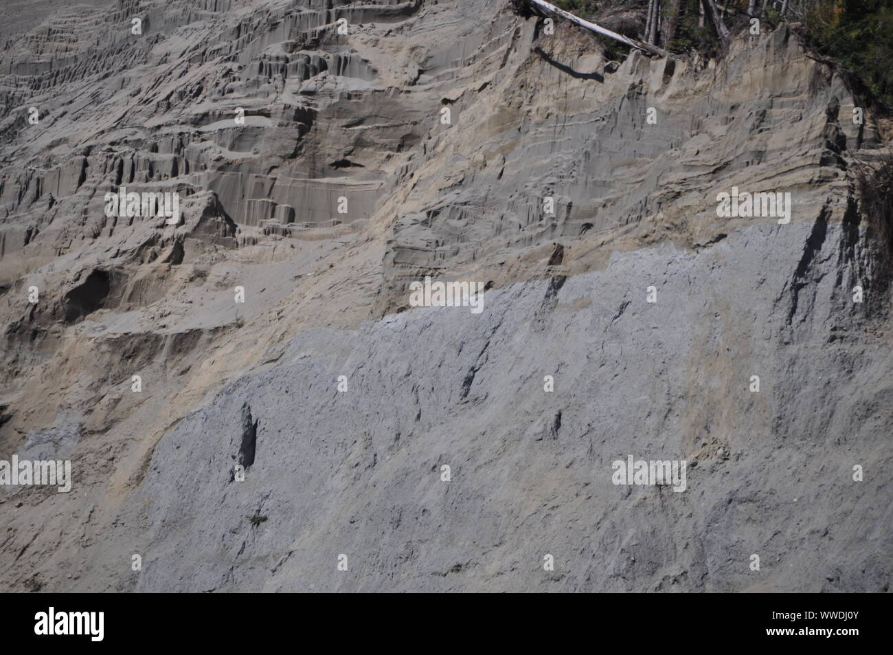 Headscarp of the fatal 2014 Oso landslide, Oso Landslide, North Fork Stillaguamish River Valley, Snohomish County, Washington, USA Stock Photo
