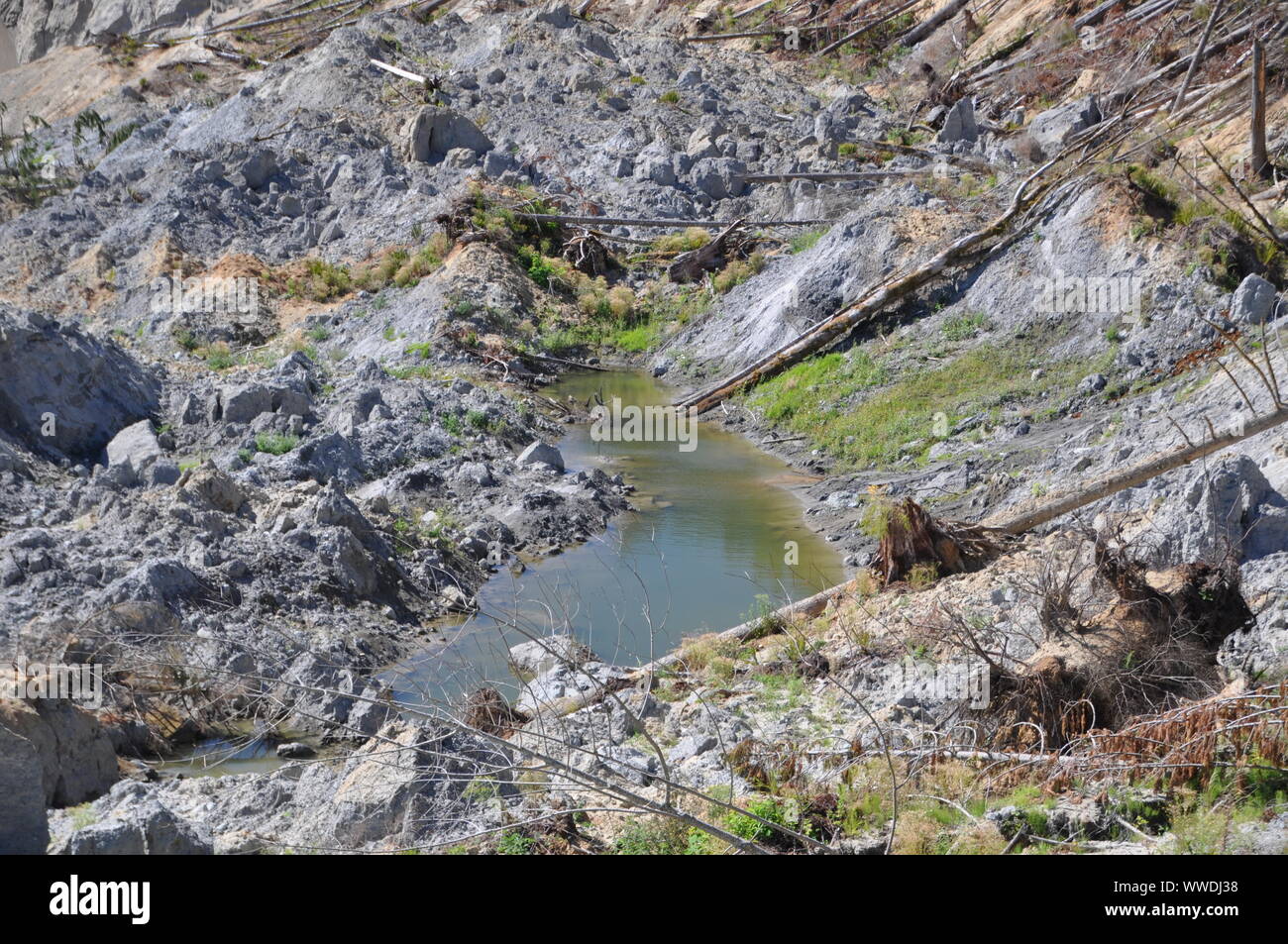 Sag ponds, 2014 Oso Landslide, Oso Landslide, North Fork Stillaguamish River Valley, Snohomish County, Washington, USA Stock Photo