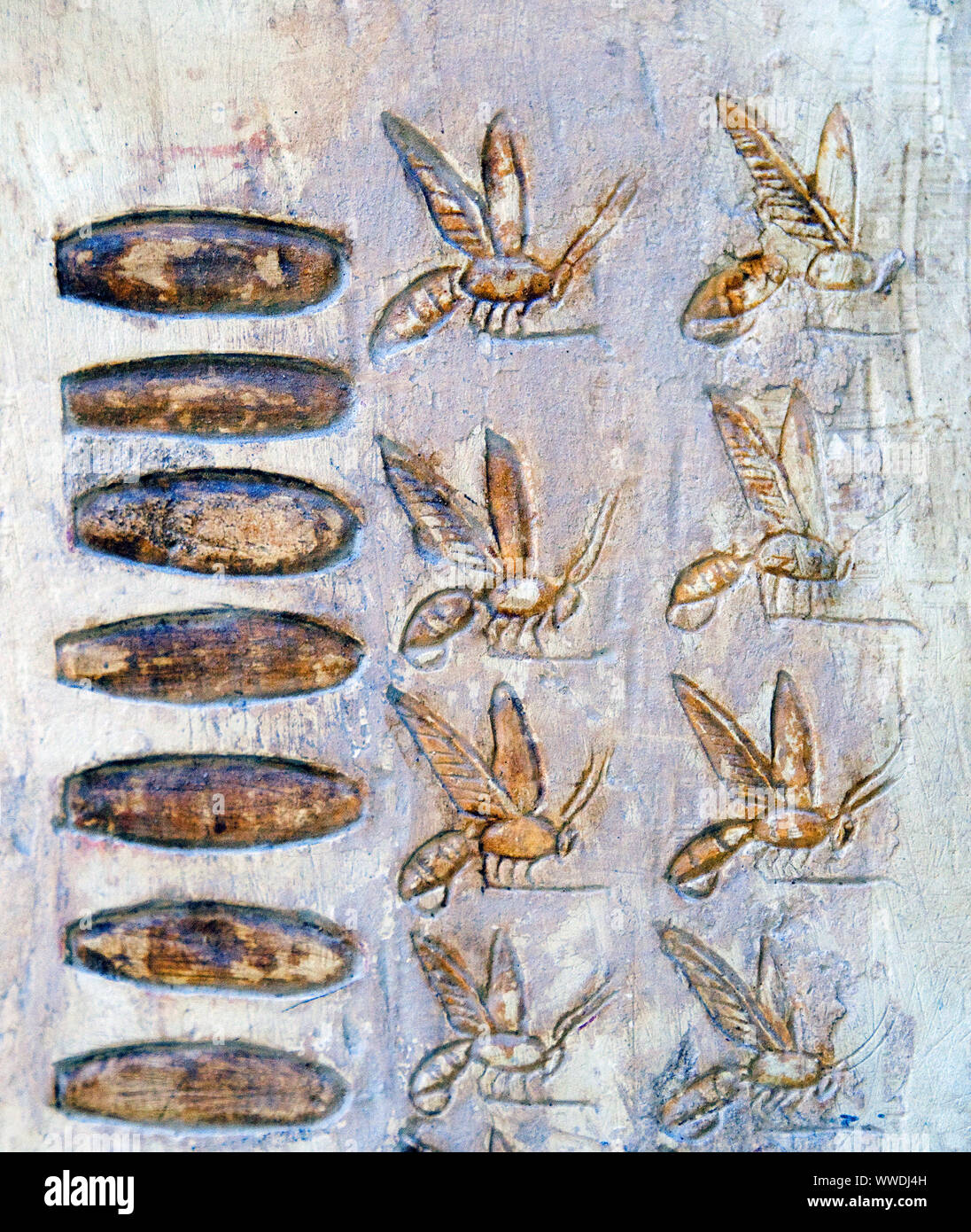 Luxor, Egypt, Tomb of Pabasa (TT279) at elAsasif, necropolis of Nobles