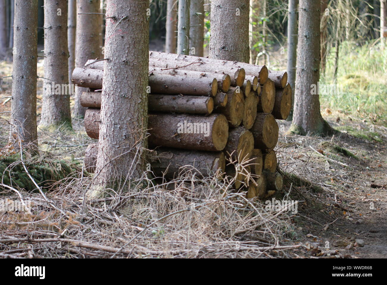 Timber Rises Mining Steigerwald High Resolution Stock Photography and Images - Alamy