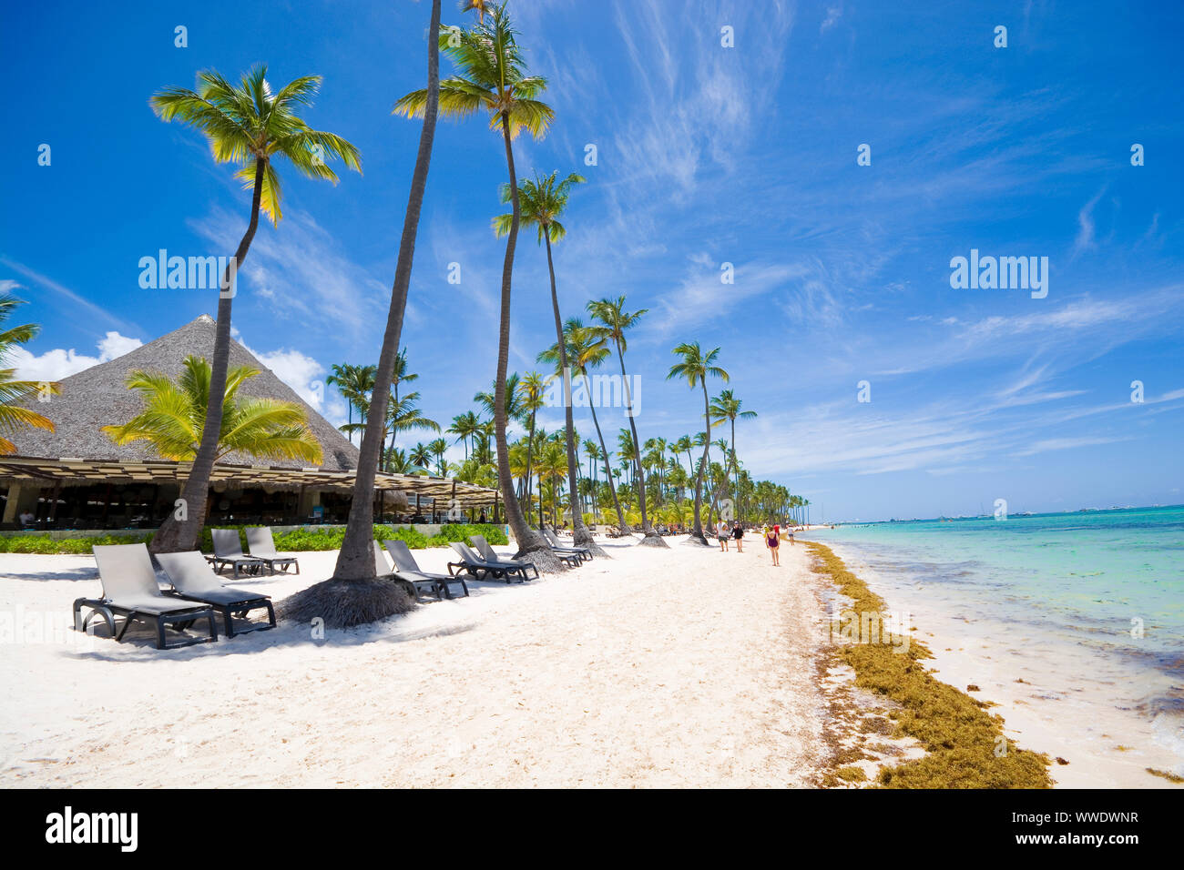 Tropical beach in Sargasso sea, Punta Cana, Dominican Republic Stock Photo