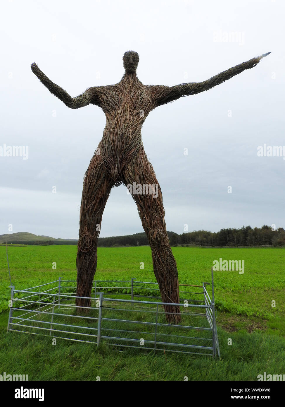 2019  image- A view of  the new enormous Wickerman figure  in the Wickerman Festival field near Dundrennan, Dumfries and Galloway. (Surrounded by a normal farmers fence) Stock Photo