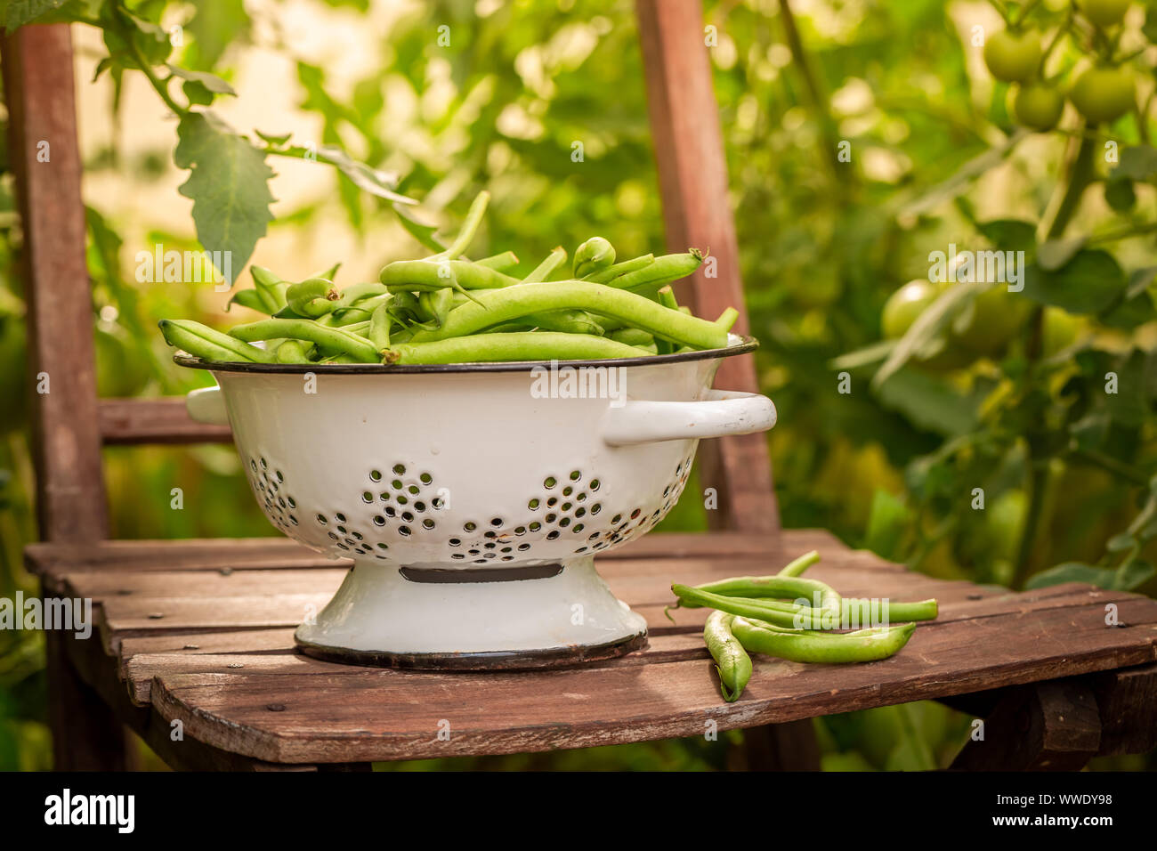 Raw green beans in colander hi-res stock photography and images - Alamy