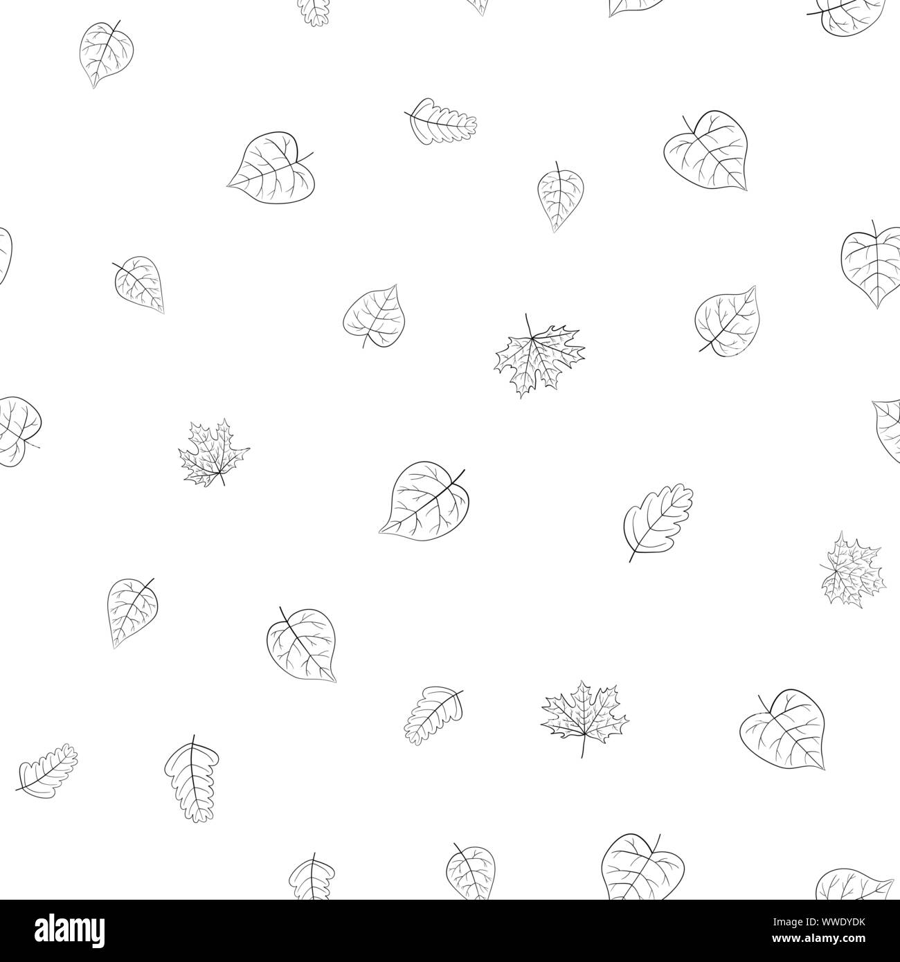 abstract vector doodle autumn leaves seamless pattern - black and white ...
