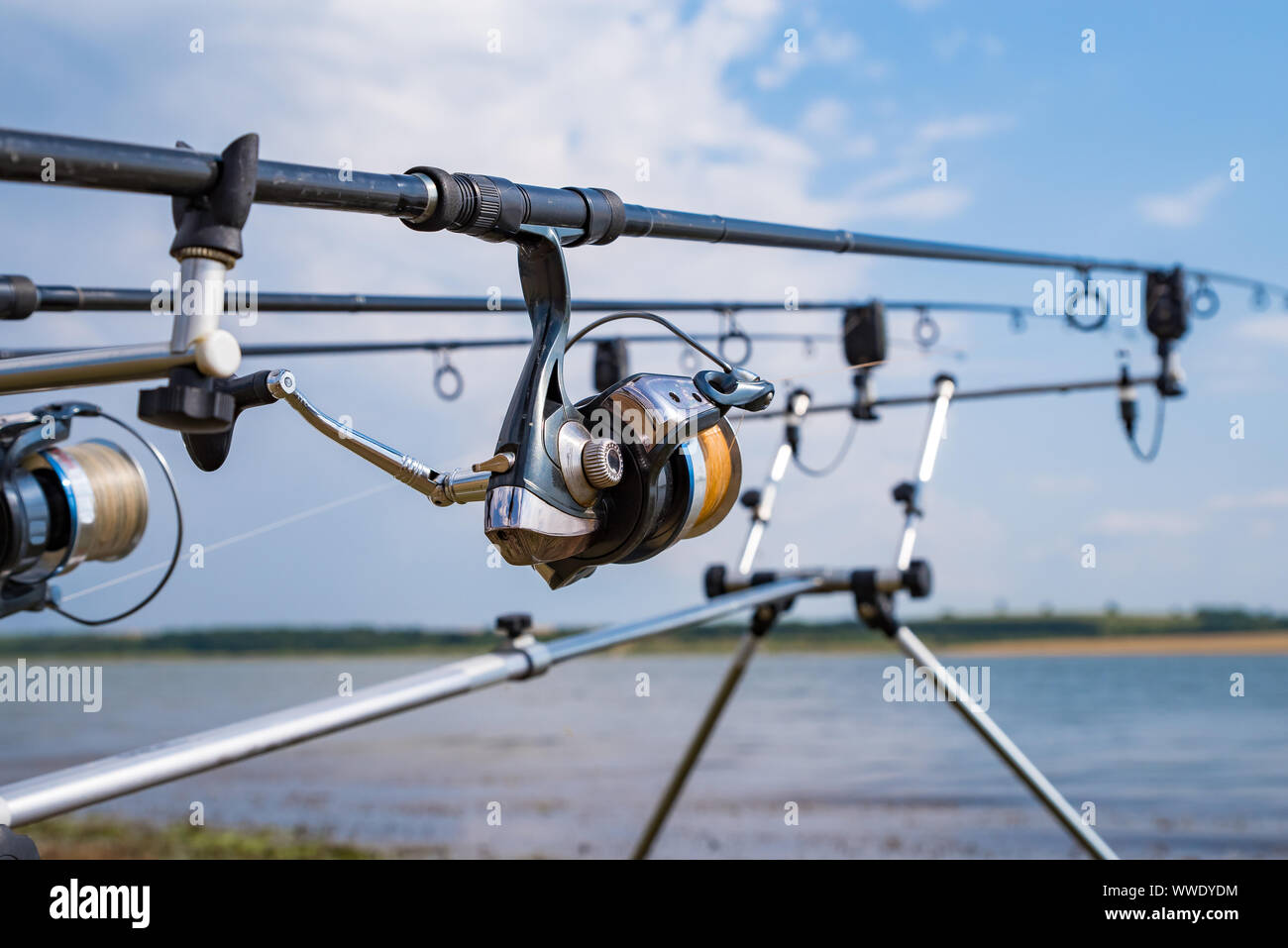 Carp fishing rods with reel set up on support system Stock Photo