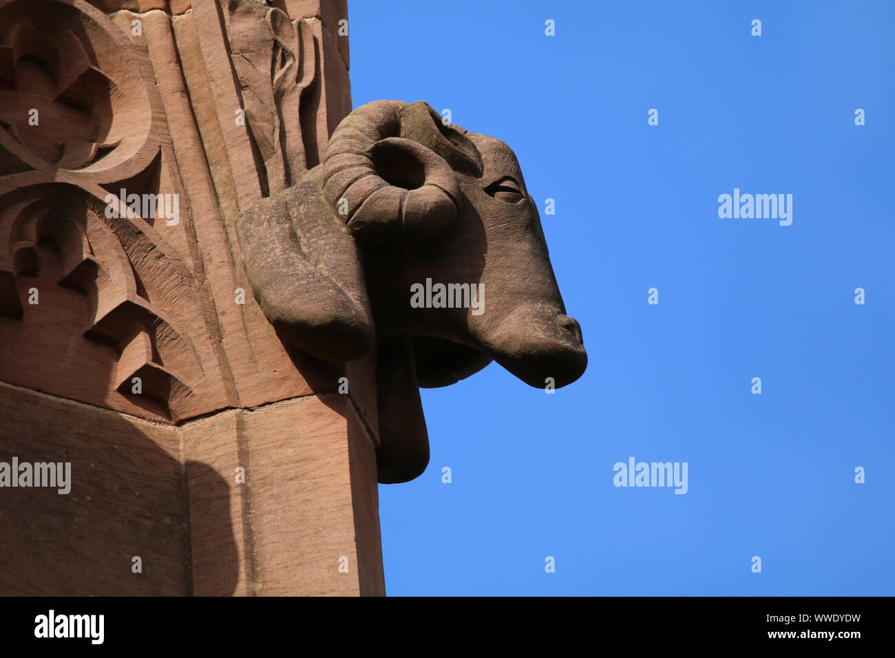 gargoyle, St Mary's Church, Nantwich, Cheshire Stock Photo