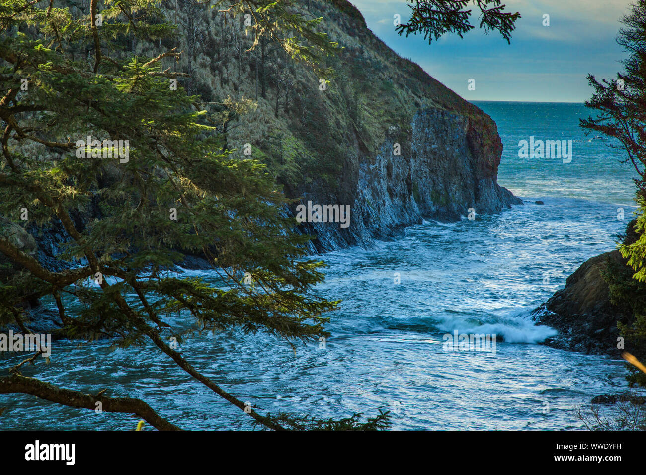 Dead Mans Cove, Cape Disappointment, Long Beach, Wa Stock Photo Alamy
