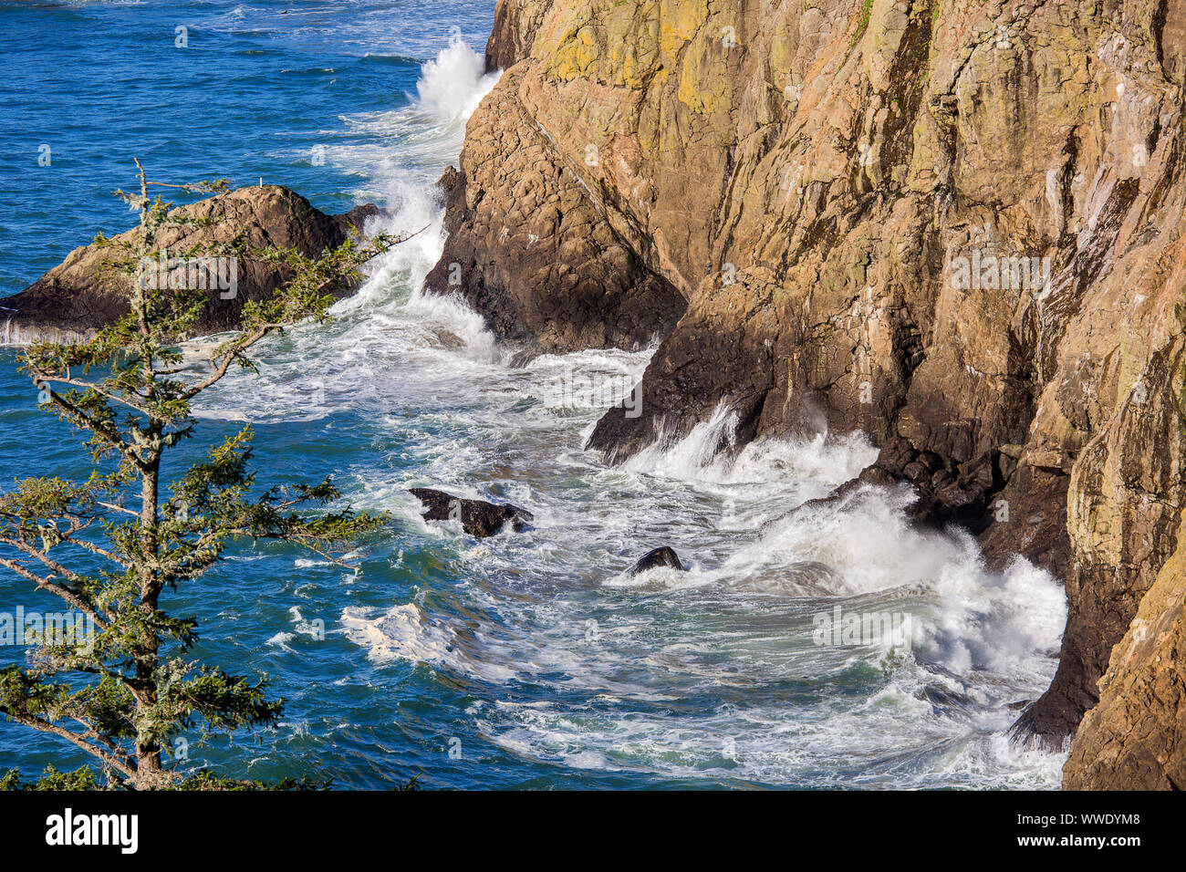 Dead Mans Cove, Cape Disappointment, Long Beach, Wa Stock Photo