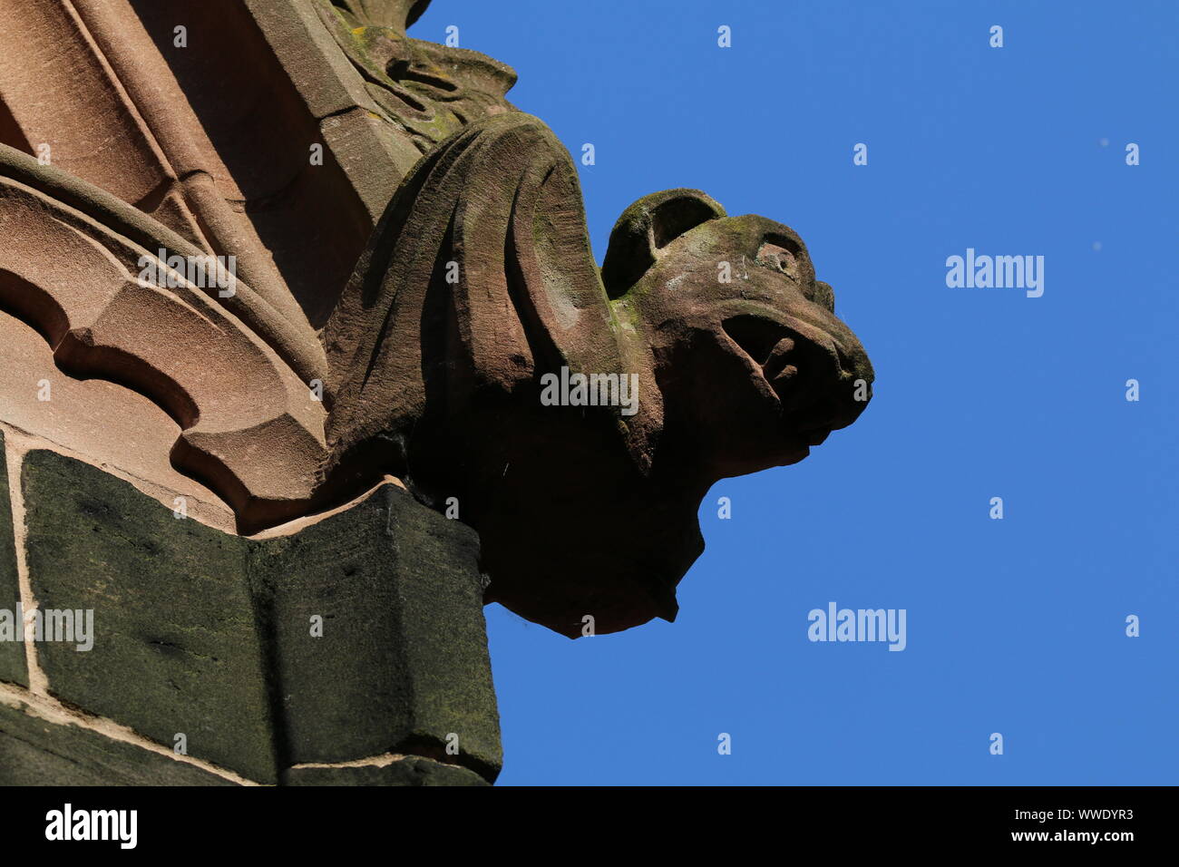 gargoyle, St Mary's Church, Nantwich, Cheshire Stock Photo