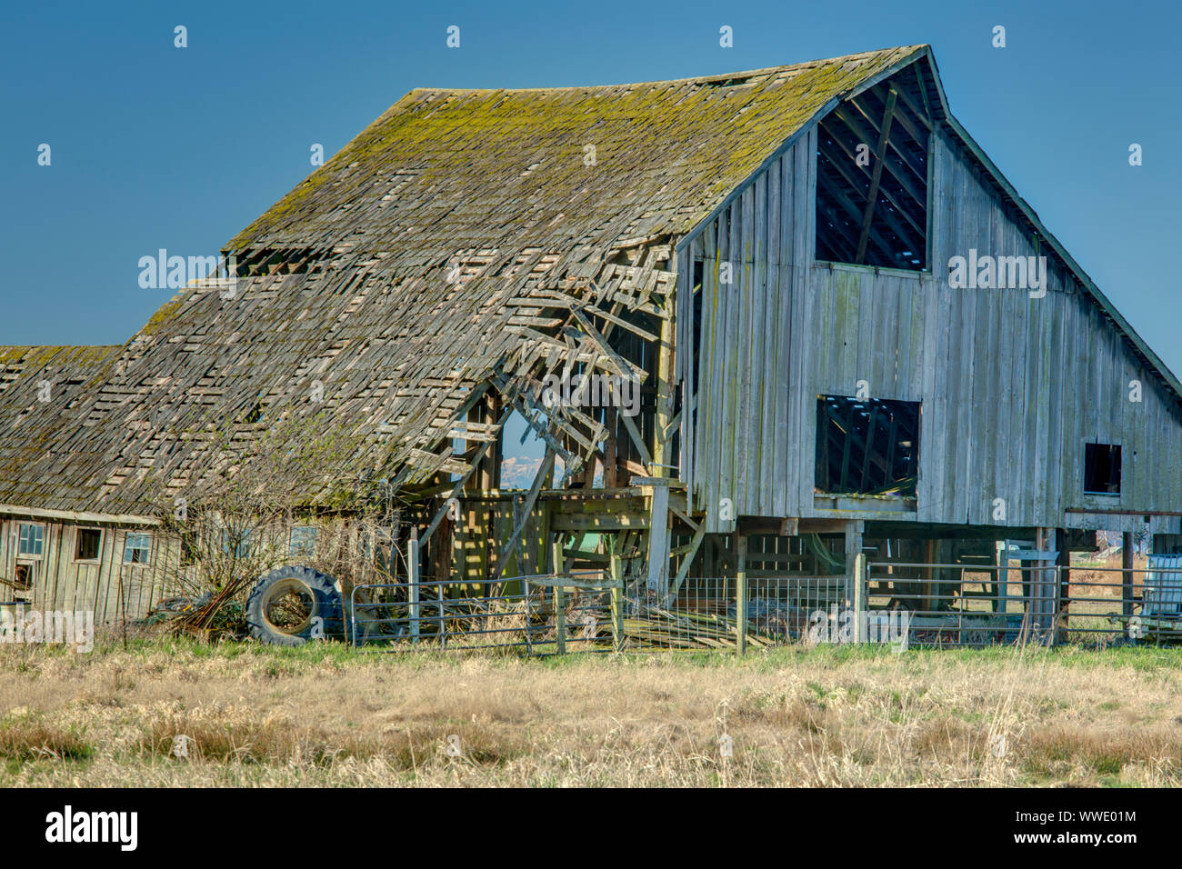 Old Barn, Skagit County, Wa Stock Photo